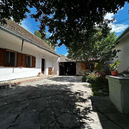 Oaza Mira Porodicna Kuca Za Opustanje Villa Apatin Eksteriør bilde