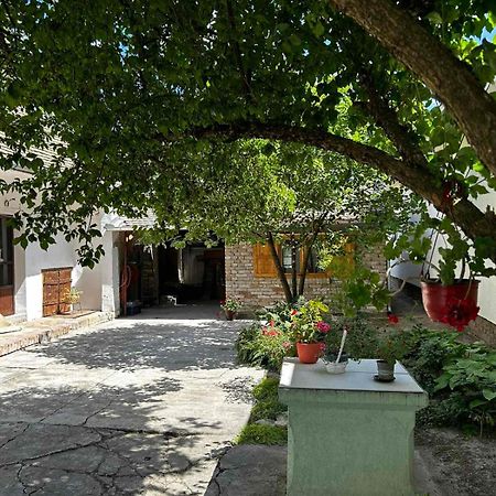 Oaza Mira Porodicna Kuca Za Opustanje Villa Apatin Eksteriør bilde
