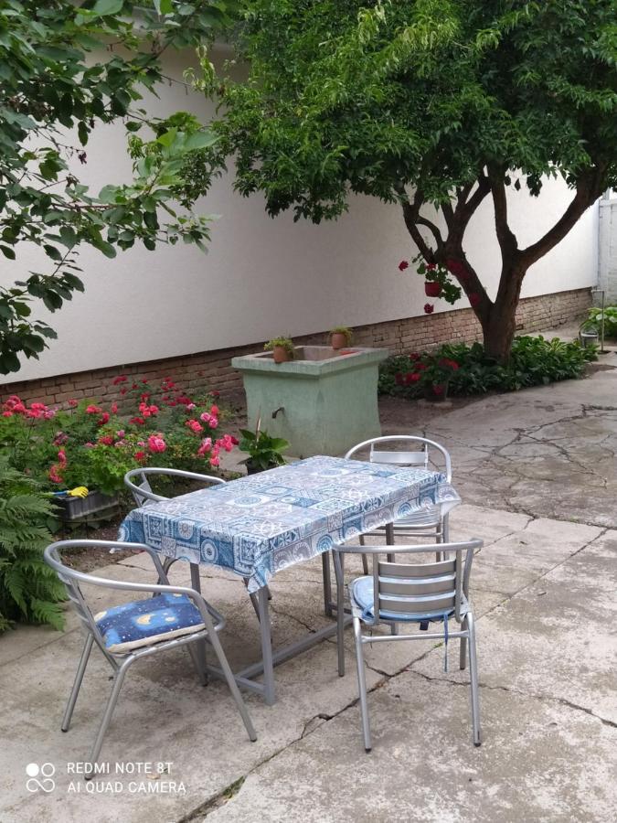 Oaza Mira Porodicna Kuca Za Opustanje Villa Apatin Eksteriør bilde