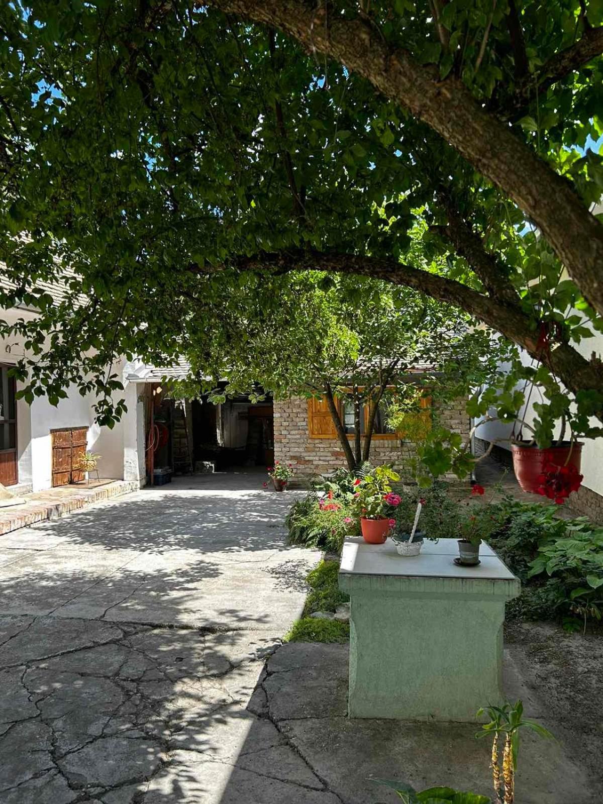 Oaza Mira Porodicna Kuca Za Opustanje Villa Apatin Eksteriør bilde